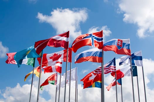 Flags of participant of IHWC 2014