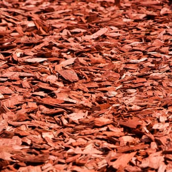 View of wood chips
