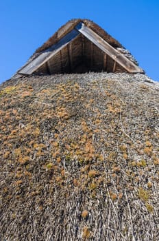 The roof covered with straw, close-up