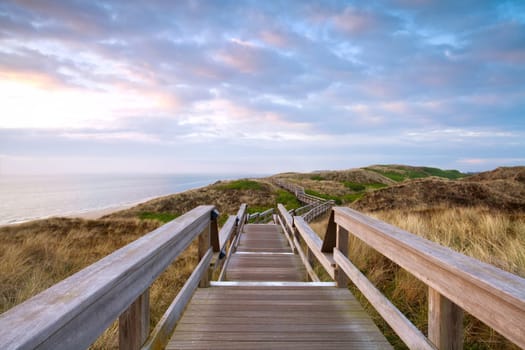 in the evening over the dunes