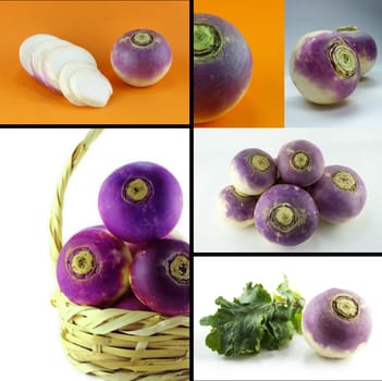 Healthy and organic food, Set of fresh purple headed turnips .