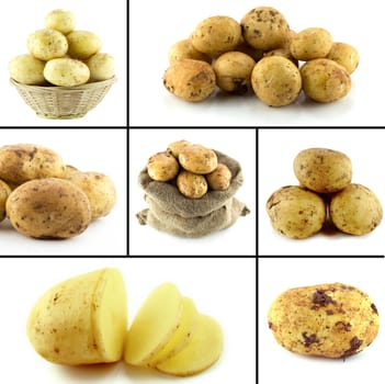 Healthy and organic food, Set of fresh potatoes .