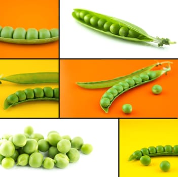 Healthy and organic food, Set of fresh pea.
