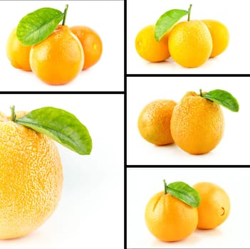 Healthy and organic food, Set of fresh orange.