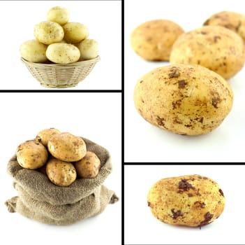 Healthy and organic food, Set of fresh potatoes .