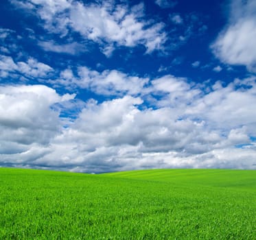 field on a background of the blue sky
