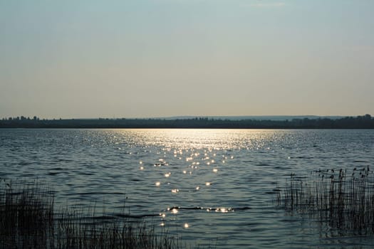 Gremminer See former opencast mine near Gräfenhainichen