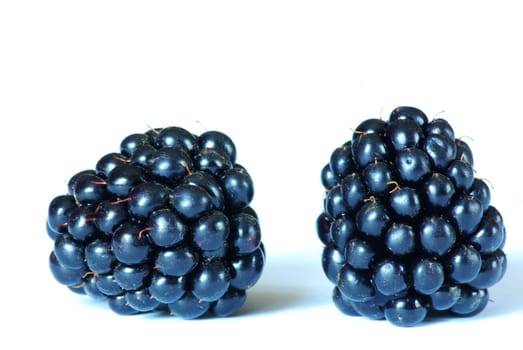 two of blackberries isolated on white background.