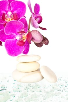 Spa stones and pink orchid on white background