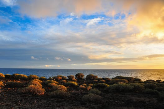 Desert Landscape in South of Tenerife Canary Island Spain