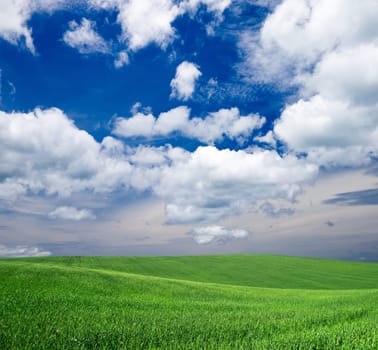 green field and blue sky