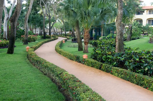 Garden stone path with grass