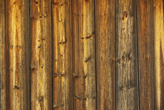 brown wood background with a natural patterns