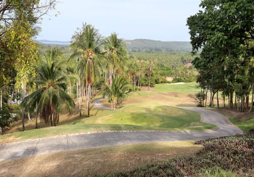 The road in the jungle
