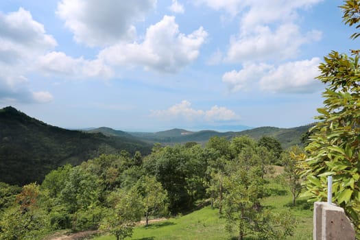 tropical landscape