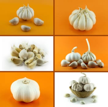 Healthy and organic food, Set of fresh garlic .