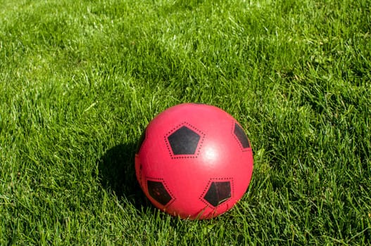 Red rubber child ball on green grass background
