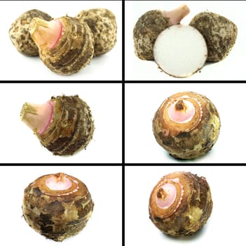 Healthy and organic food, Set of fresh  taro root or colocasia.