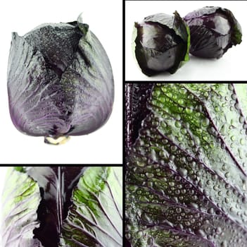 Healthy and organic food, Set of fresh  red cabbage.