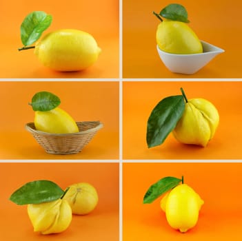 Healthy and organic food, Set of fresh Lemon.