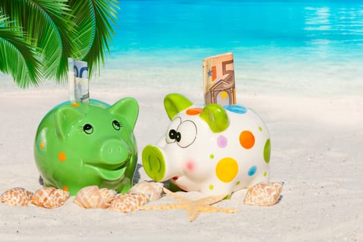 Two piggy banks with banknotes under palm fronds