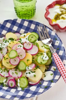 Potato salad with fresh cucumbers and radishes on rustic plate