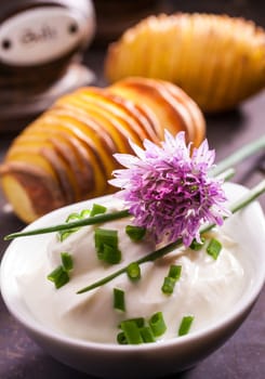 Fresh leaves and flower of a chive plant, Allium schoenoprasum, a popular potherb used as a flavoring and garnish in cooking and salads for its onion-like taste