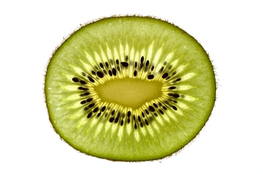 One slim kiwi slice on a white background