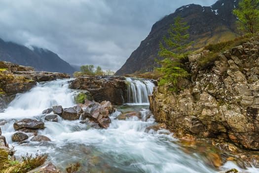 Wild Scotland