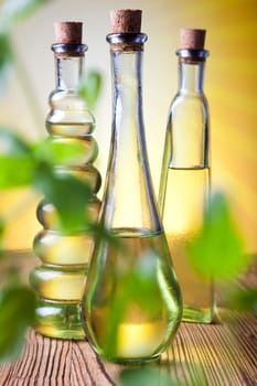 Olive oil bottles