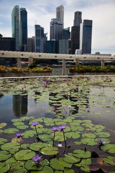 Cityscape of Singapore, financial centre