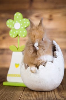 Easter bunny with egg
