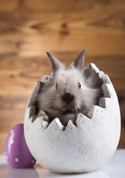 Easter bunny with egg