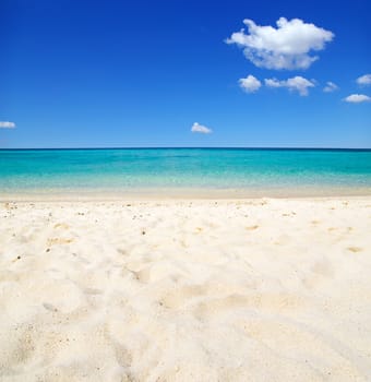 beautiful beach and tropical sea