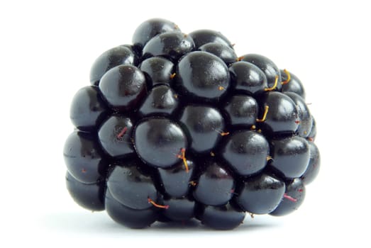 blackberry isolated on a white background