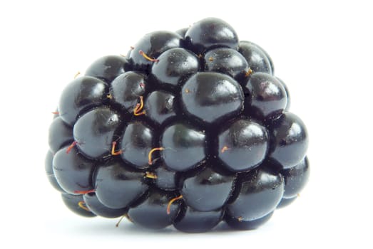 blackberry isolated on white background