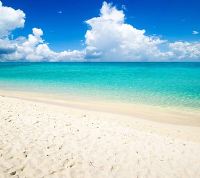 beautiful beach and tropical sea