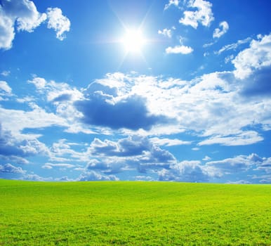field on a background of the blue sky