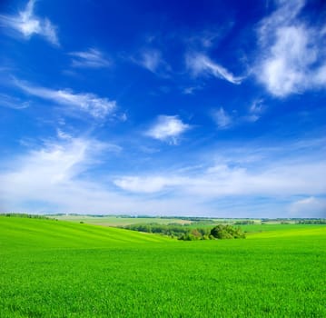 field on a background of the blue sky