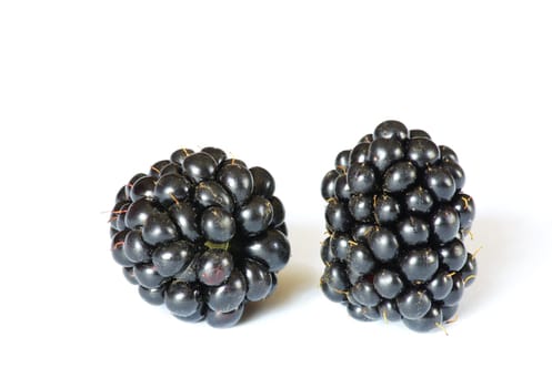 two of blackberries isolated on white background.