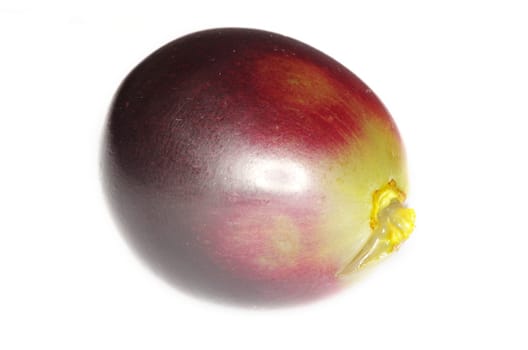 Close up of a red grape isolated on white background