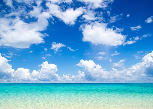 beautiful beach and tropical sea