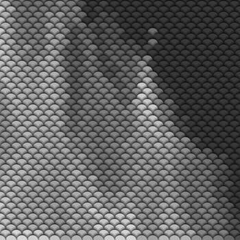 Abstract scales pattern in shades of grey and black. Textured background