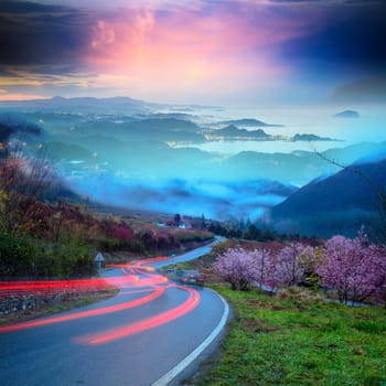 asphalt road and sea