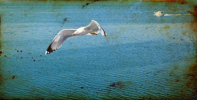 Vintage photo of flying seagulls on the sky