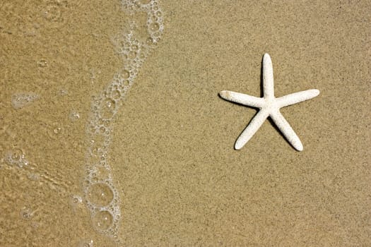 Starfish and waves on summer sunny beach