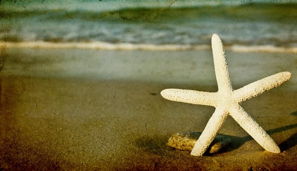Starfish and waves on summer sunny beach