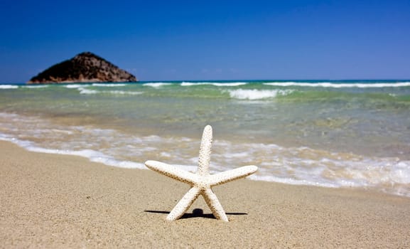 Starfish and waves on summer sunny beach