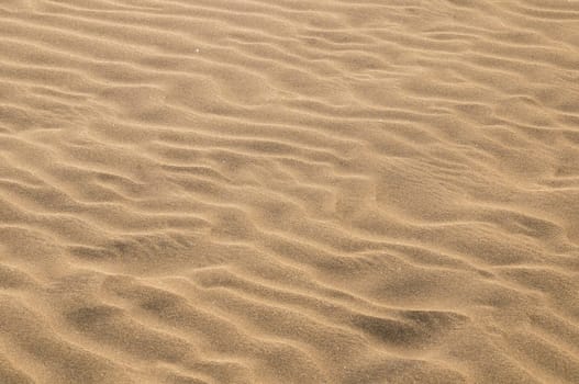 Texture Sand Dune Desert in Gran Canaria Island Spain