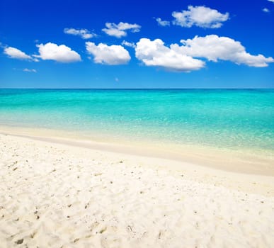 beautiful beach and tropical sea